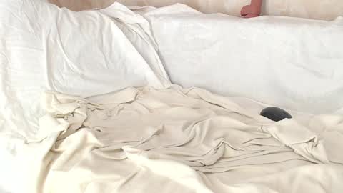 Snapshot of sofia_here chatting on 8, 1, 2025 Sofia here online show from 8, 1, 2025