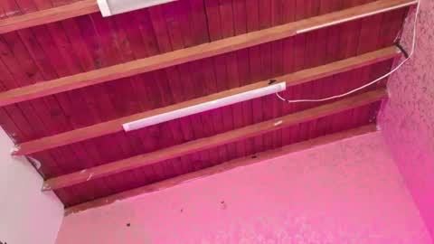 Sofia online show from 14, 11, 2025