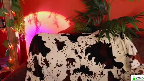 E online show from 18, 11, 2025