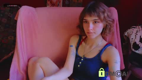 Snapshot of soft_animal chatting on 12, 6, 2026 E online show from 12, 6, 2026