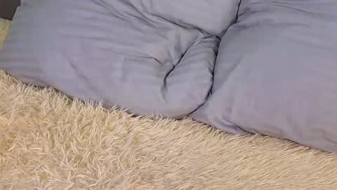 Snapshot of soft_babe chatting on 2, 3, 2025 Milisa online show from 2, 3, 2025