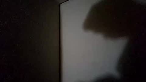 Snapshot of sohan730903 chatting on 18, 11, 2025 sohan730903 online show from 18, 11, 2025