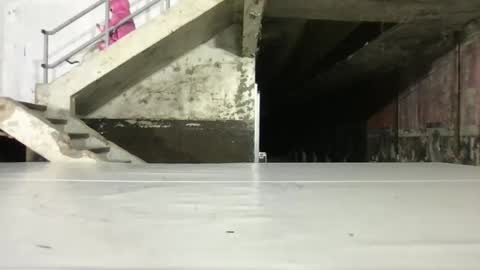 L4 online show from 16, 10, 2025