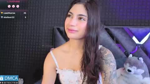 Snapshot of solbeaumont chatting on 15, 11, 2025 Sol online show from 15, 11, 2025