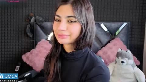 Snapshot of solbeaumont chatting on 18, 11, 2025 Sol online show from 18, 11, 2025