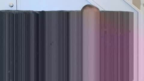 jeff online show from 15, 11, 2025