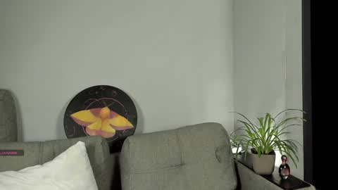   FREE tg chanel online show from 10, 1, 2025