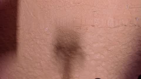 Snapshot of sophi_cooper29 chatting on 22, 12, 2025 sophi_cooper29 online show from 22, 12, 2025