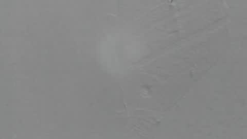 sophia_ebony___ online show from 8, 2, 2026