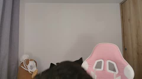 Sophia Storm online show from 15, 5, 2026