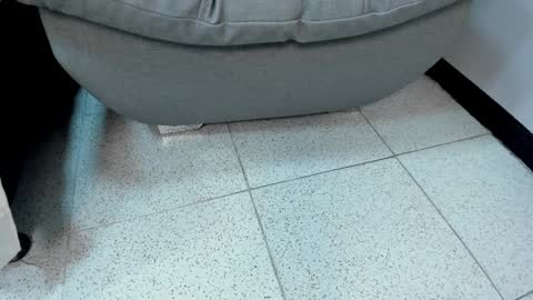 sophieharris__ online show from 23, 1, 2025