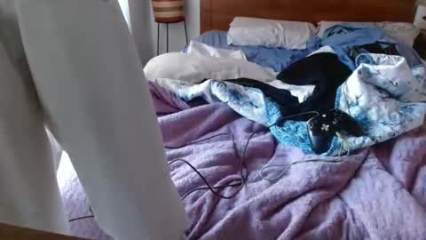 businessman online show from 8, 11, 2025