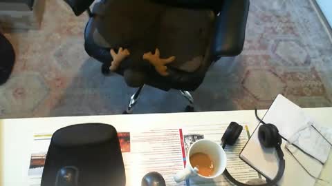 Snapshot of southernbones chatting on 29, 9, 2025 SOUTHERNBONES online show from 29, 9, 2025