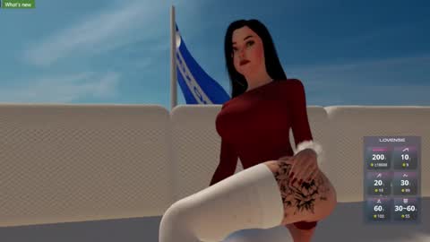 Snapshot of soynahid chatting on 2, 12, 2024 NAHID online show from 2, 12, 2024