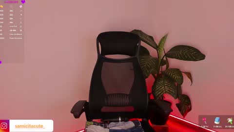 Sami Diaz   online show from 7, 12, 2024