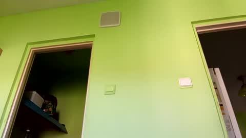 Snapshot of sparei7 chatting on 26, 4, 2026 Snaiky online show from 26, 4, 2026