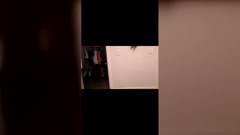 specialiest online show from 8, 3, 2026