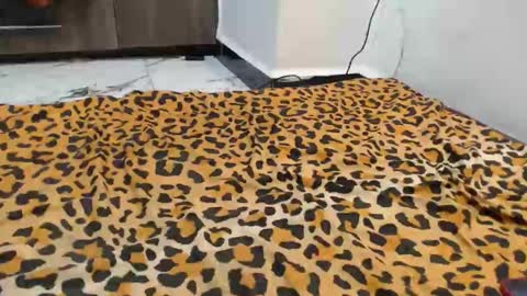 Snapshot of spice_queen chatting on 13, 9, 2025 dela online show from 13, 9, 2025