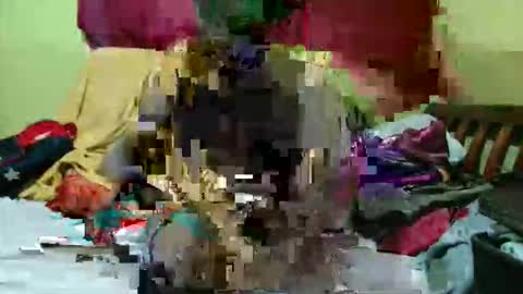 spicy_bella69 online show from 17, 5, 2026