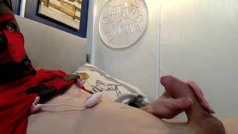 Spidey Pup online show from 26, 12, 2024