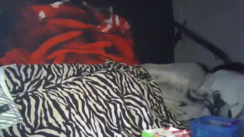 Snapshot of splashh_queen317 chatting on 26, 9, 2025 Daddy His Splash Queen online show from 26, 9, 2025