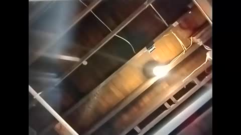 spundaddyandprincess online show from 1, 12, 2024