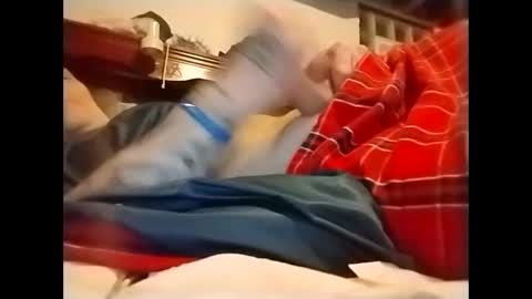 spundaddyandprincess online show from 2, 12, 2024