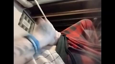 spundaddyandprincess online show from 4, 12, 2024