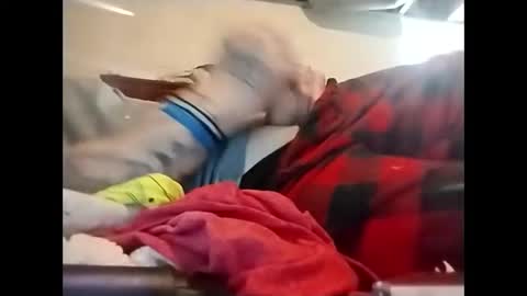 spundaddyandprincess online show from 8, 12, 2024