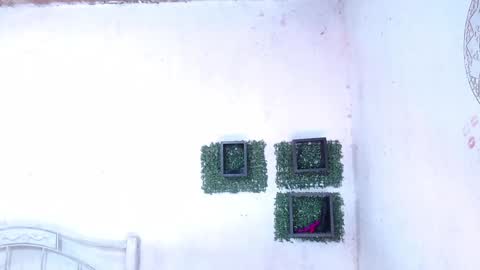 Snapshot of squirt_dirty_anal chatting on 25, 1, 2025 valeria online show from 25, 1, 2025