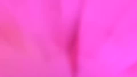 Snapshot of sqwtutlpjvmz chatting on 26, 7, 2026 YourdirtysecretxMae online show from 26, 7, 2026