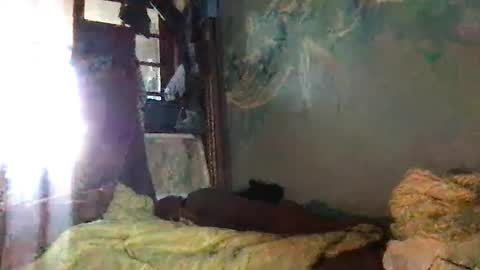 Snapshot of srekos38 chatting on 7, 10, 2025 srekos38 online show from 7, 10, 2025