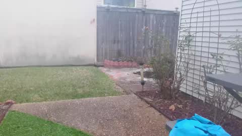 srtxshow online show from 5, 2, 2025