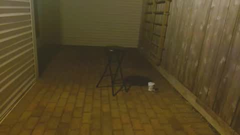 srtxshow online show from 23, 10, 2025