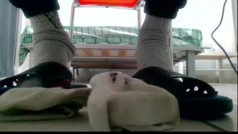 ssenzo online show from 10, 12, 2024