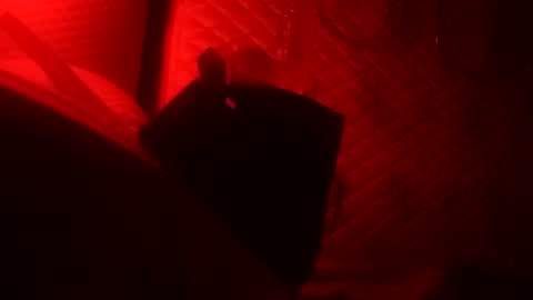 Snapshot of st0ned_d chatting on 22, 10, 2025 Dick online show from 22, 10, 2025