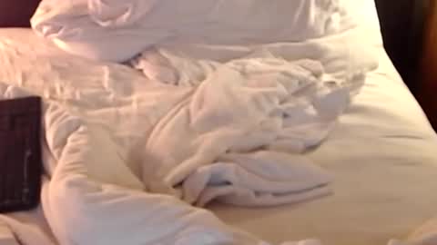 st8llion online show from 11, 1, 2025