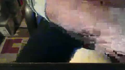 CIPPALIPPA online show from 17, 11, 2025