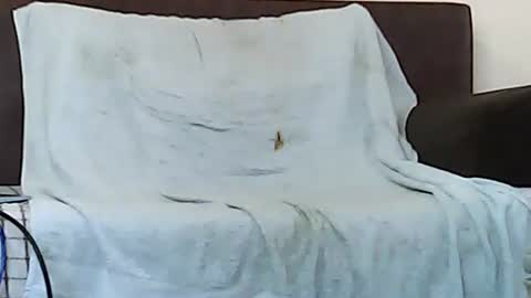 Snapshot of star0806666a chatting on 6, 11, 2025 star0806666a online show from 6, 11, 2025