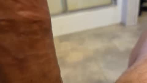 stareyes0249 online show from 11, 9, 2025