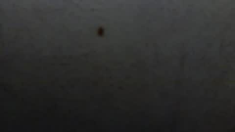 starguy600 online show from 11, 1, 2026