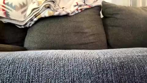 Snapshot of starr3095 chatting on 4, 11, 2025 starr3095 online show from 4, 11, 2025