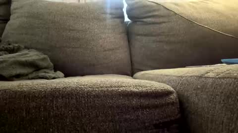 Snapshot of starr3095 chatting on 3, 12, 2025 starr3095 online show from 3, 12, 2025