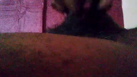 stebel666185 online show from 22, 9, 2025