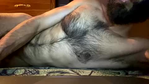 Lobo del Antiguo Oriente online show from 6, 4, 2026