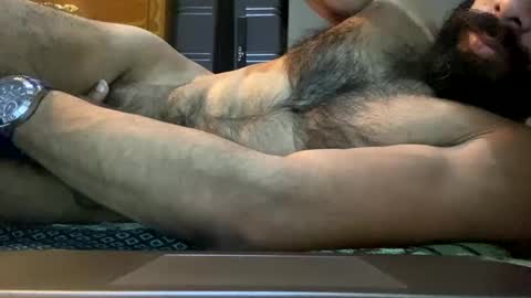 Lobo del Antiguo Oriente online show from 16, 4, 2026