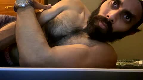 Lobo del Antiguo Oriente online show from 22, 4, 2026