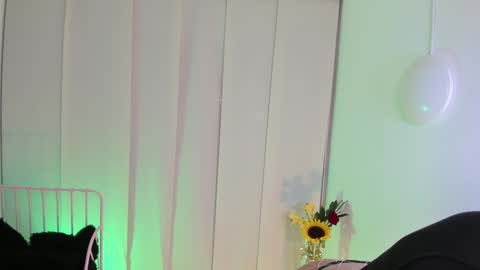 Snapshot of steffy_dan chatting on 6, 1, 2025 Steffy online show from 6, 1, 2025