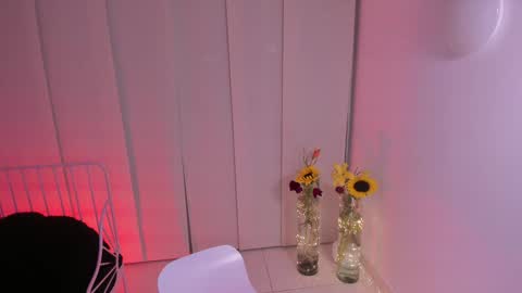 Snapshot of steffy_dan chatting on 5, 2, 2025 Steffy online show from 5, 2, 2025