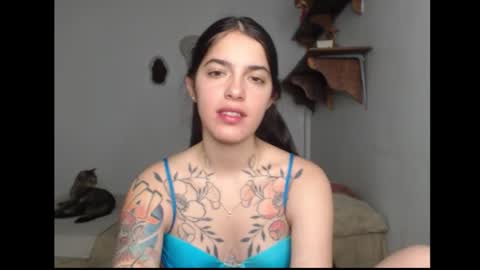 Snapshot of stella_art chatting on 13, 2, 2026 Stella online show from 13, 2, 2026